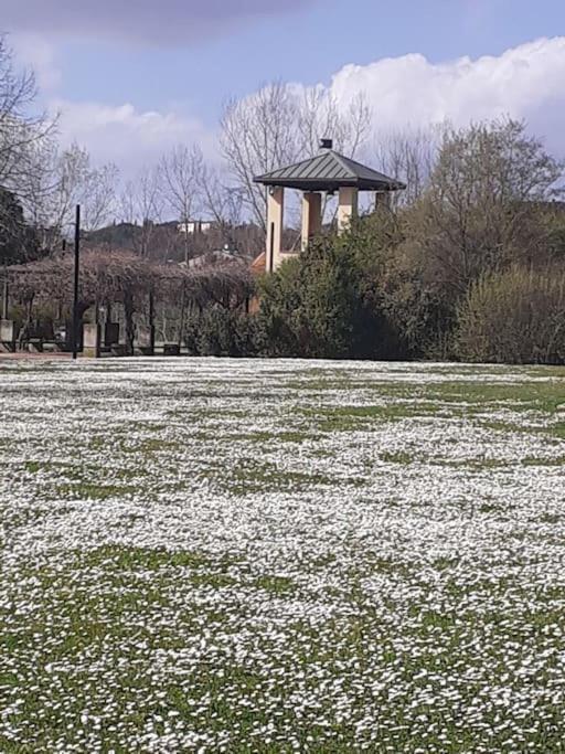 Dalla Rossa Montelupo Fiorentino Exterior foto
